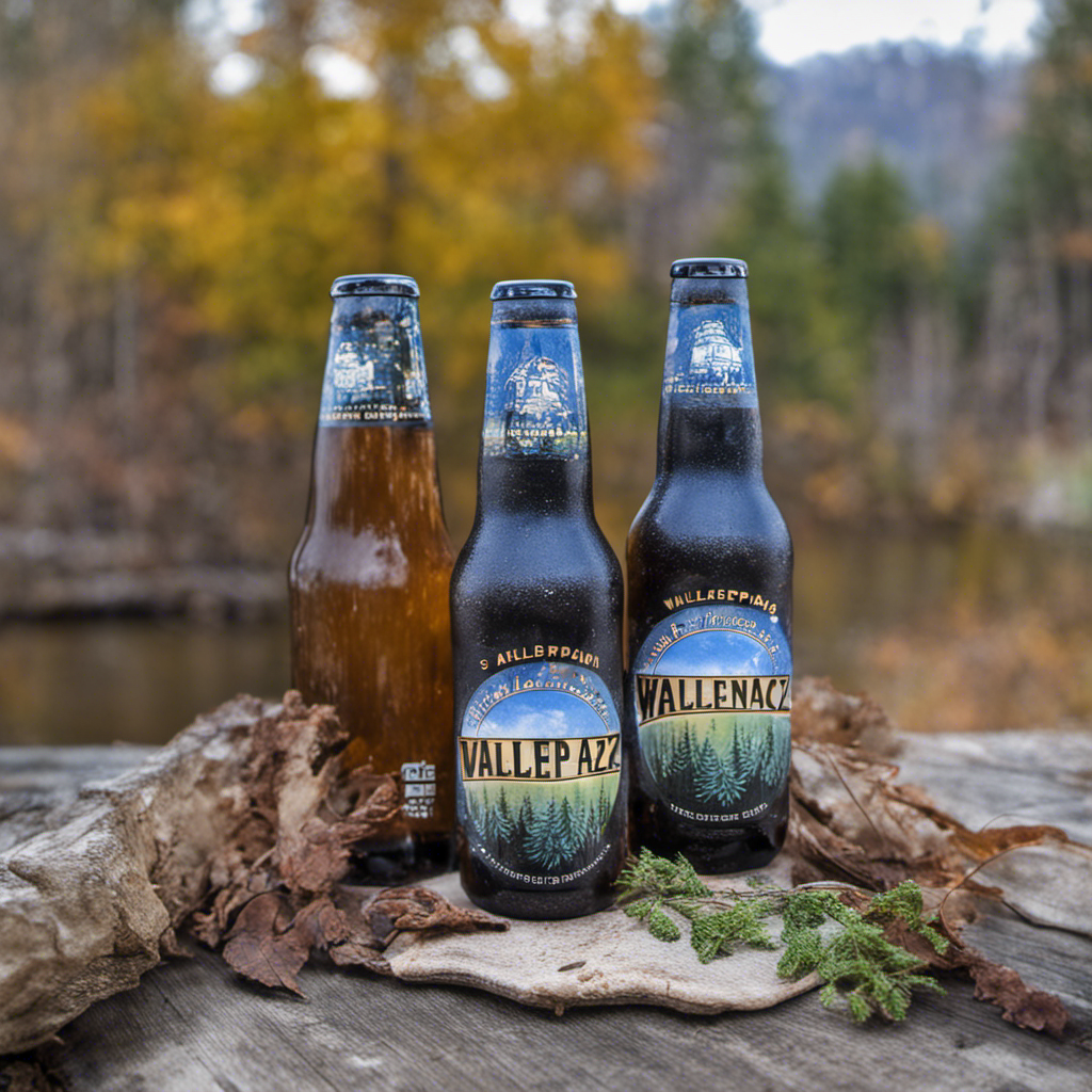 Wallenpaupack Brewing Company Lake Haze #15: A Refreshing Beer Review