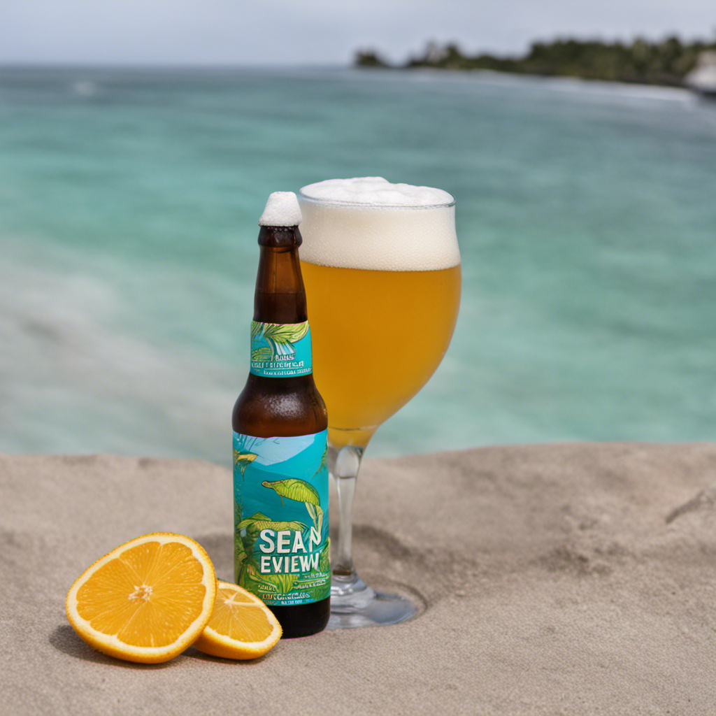 Vitamin Sea Brewing Tropical Envy Beer Review