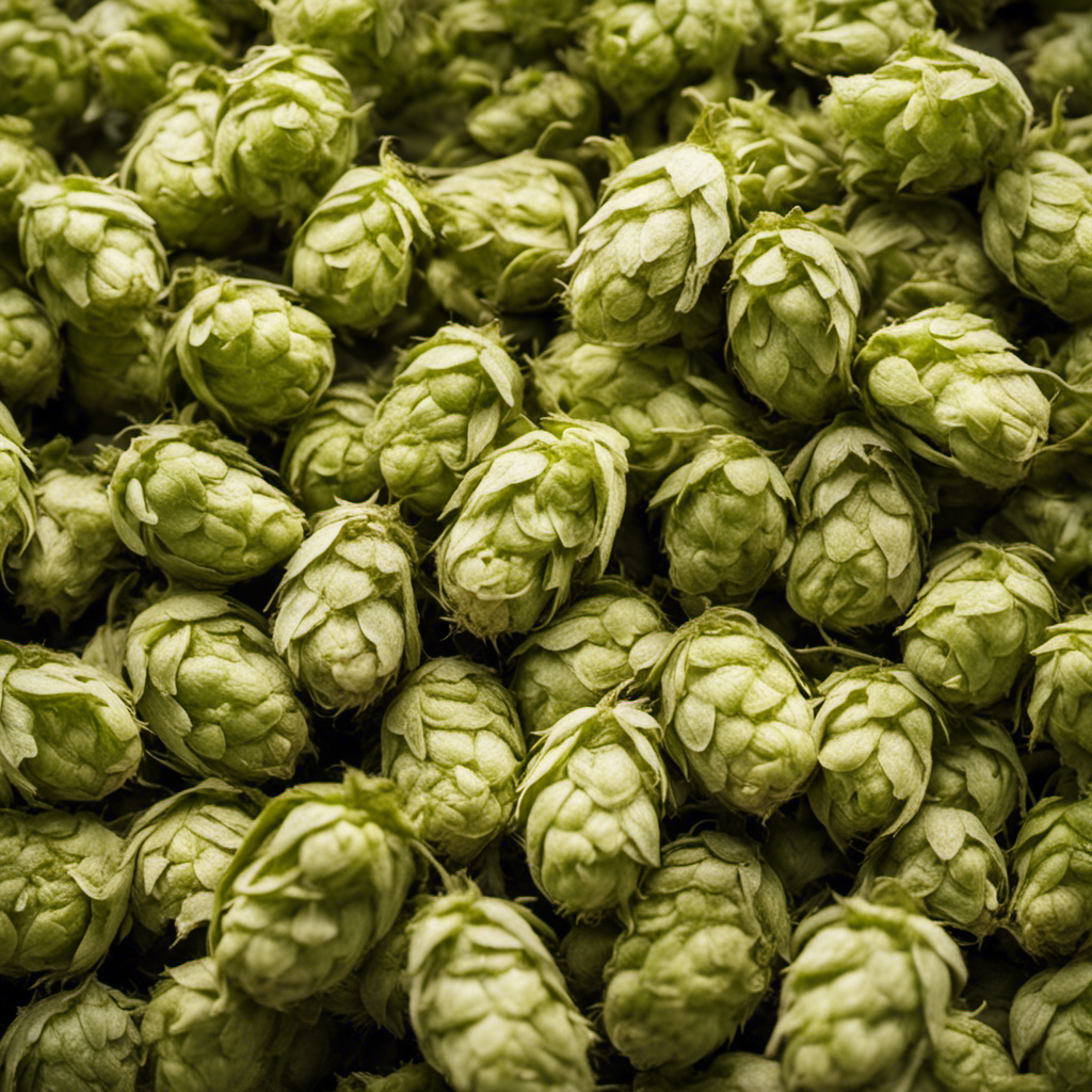 Oregon hop crop faces decline as craft beer sales slump