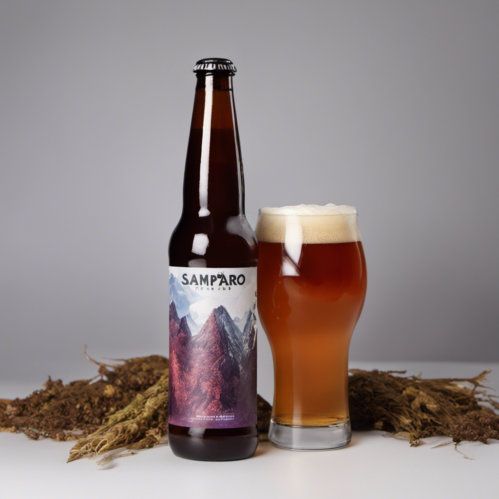 “Exploring the Unique Flavors of Baere Brewing’s Amparo Beer: A Saison with Pomace Twist”