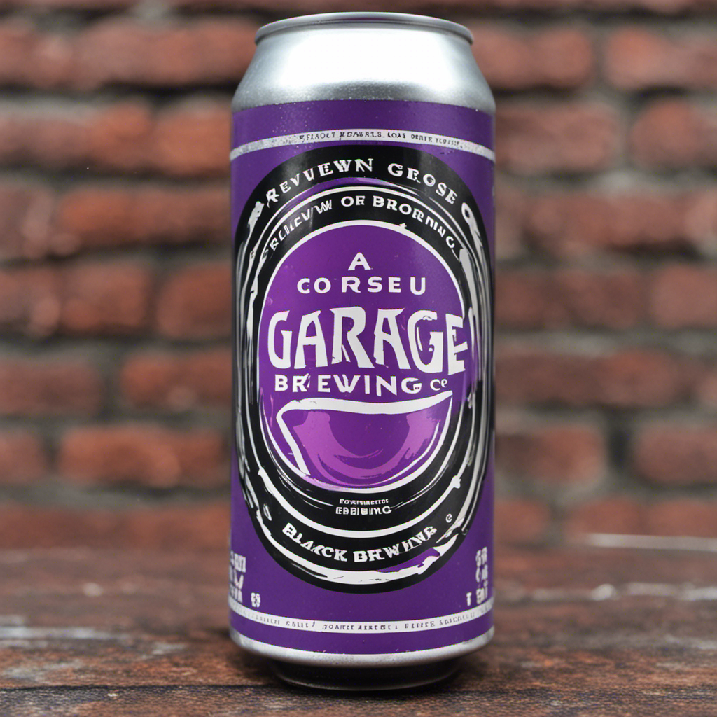 Review of Garage Brewing Co Black Currant Gose Beer