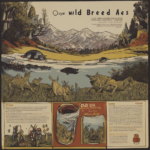 Review of Odd Breed Wild Ales Syrah Bugs Beer