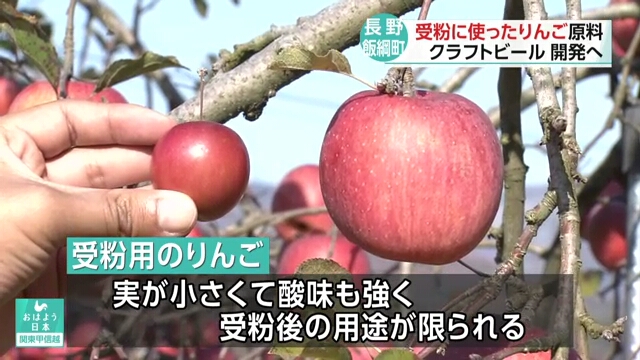 Crafting Unique Apple Brew in Nagano Town